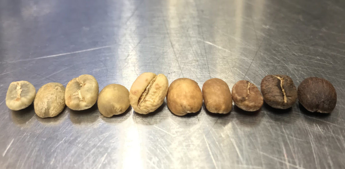 Coffee Roasting Defects Loring Smart Roast